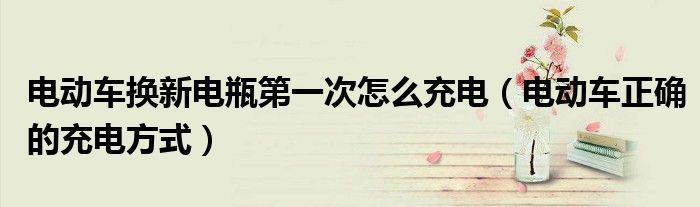 电瓶换_更换电瓶车电瓶_电瓶更换需要多少钱